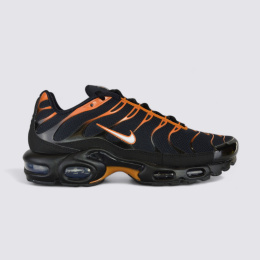 Nike Air Max Plus FN6949-400