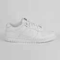 Nike Dunk Low DD1503-109