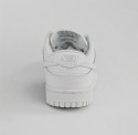 Nike Dunk Low DD1503-109